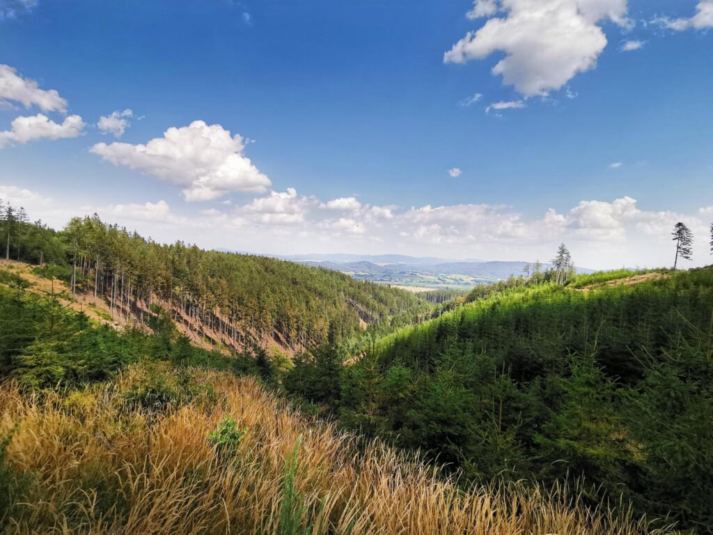 Lubawka, Green. DOT130 Dolny Śląsk Rowerem